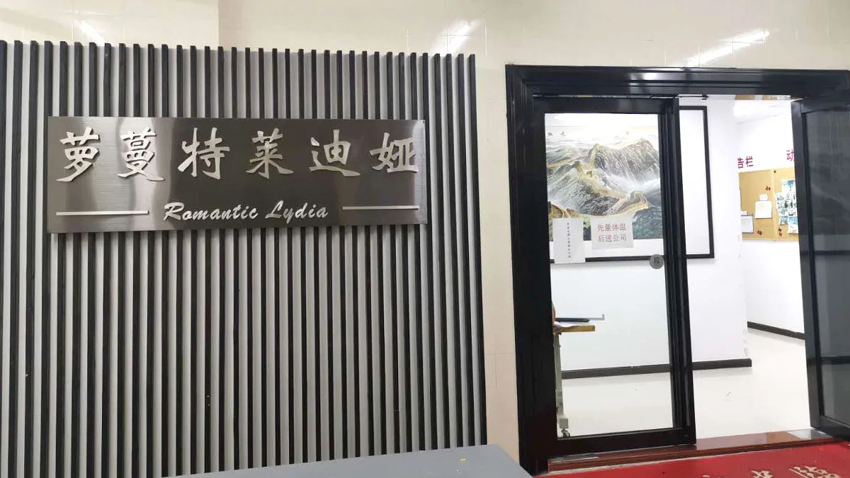 Dongguan City Luomante Ledia Clothing Co., Ltd. 2