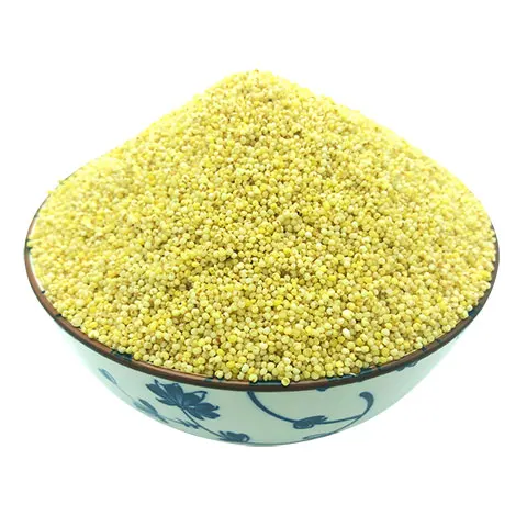 High Quality China Manufacture Protein-Rich Gluten-Free Grain Millet