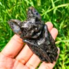 Murciélago Yooperlite