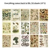 everything comes back to life