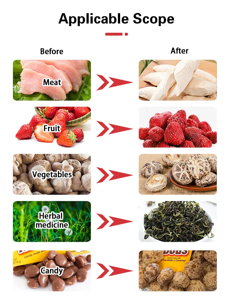 Commercial Vacuum Freeze Dryer For Fruit And Vegetable Production High