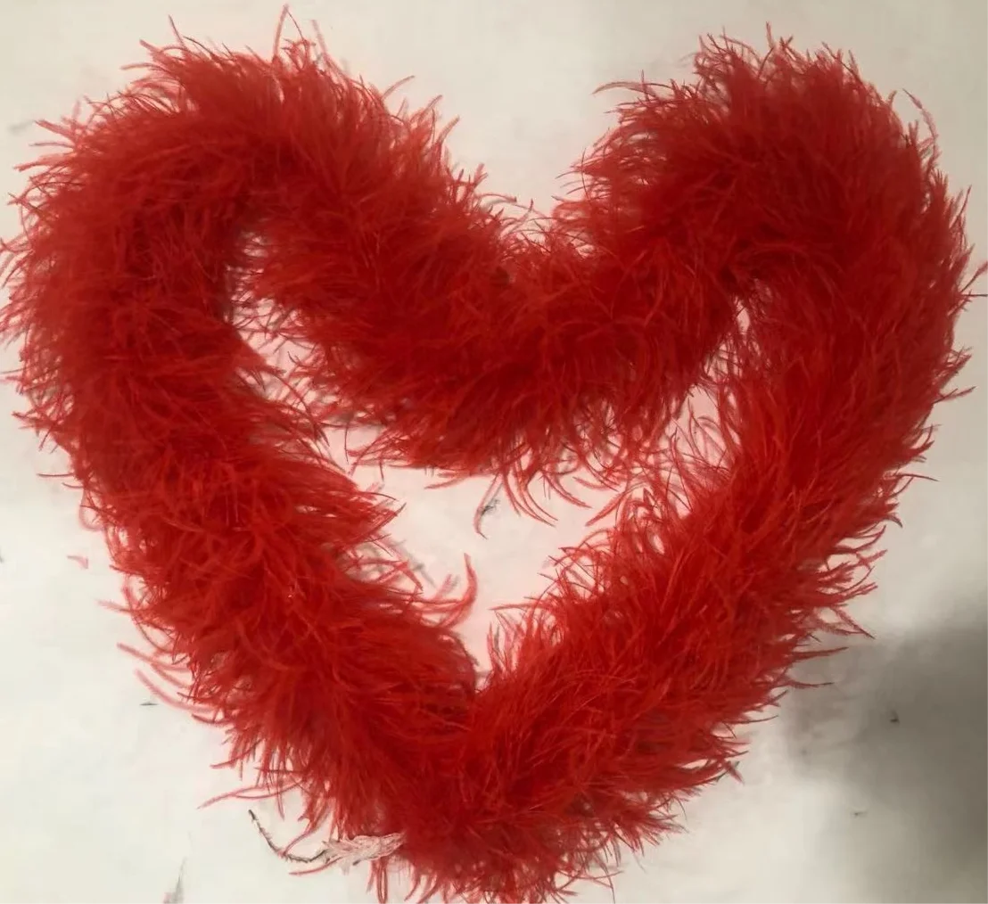 Holmgren Hot Pink Feather Boas - 2 Pcs 25g 2 Yards Feather Boa For DIY Craft Clothing, Party Dress Up And Festival Decor (Hot Pink