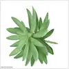 Green-1