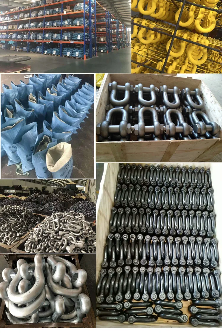 Galvanized Screw Pin US Dee Type Marine Rigging Chain D Shackle