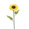 1 testa: 14 cm