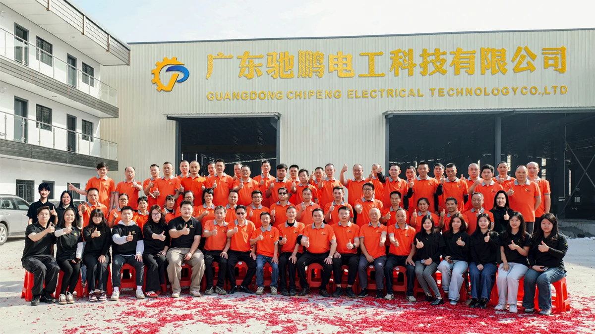 Guangdong Chipeng Electrical Technology Co., Ltd.