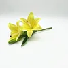 Giallo