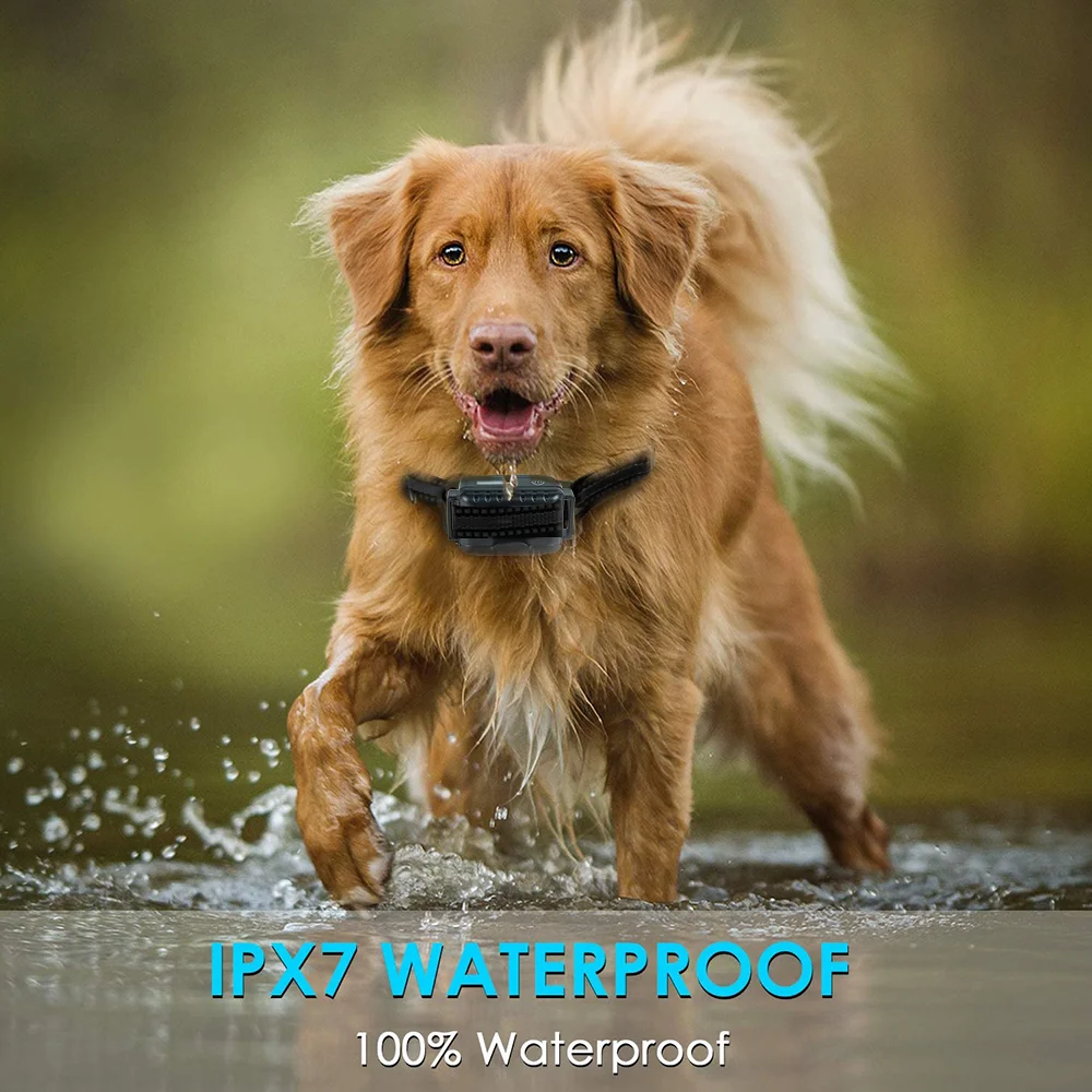 Best Dog Trainer 880 800m Collar Training Amazon With Price For Small