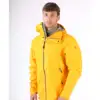 Saffron - Yellow