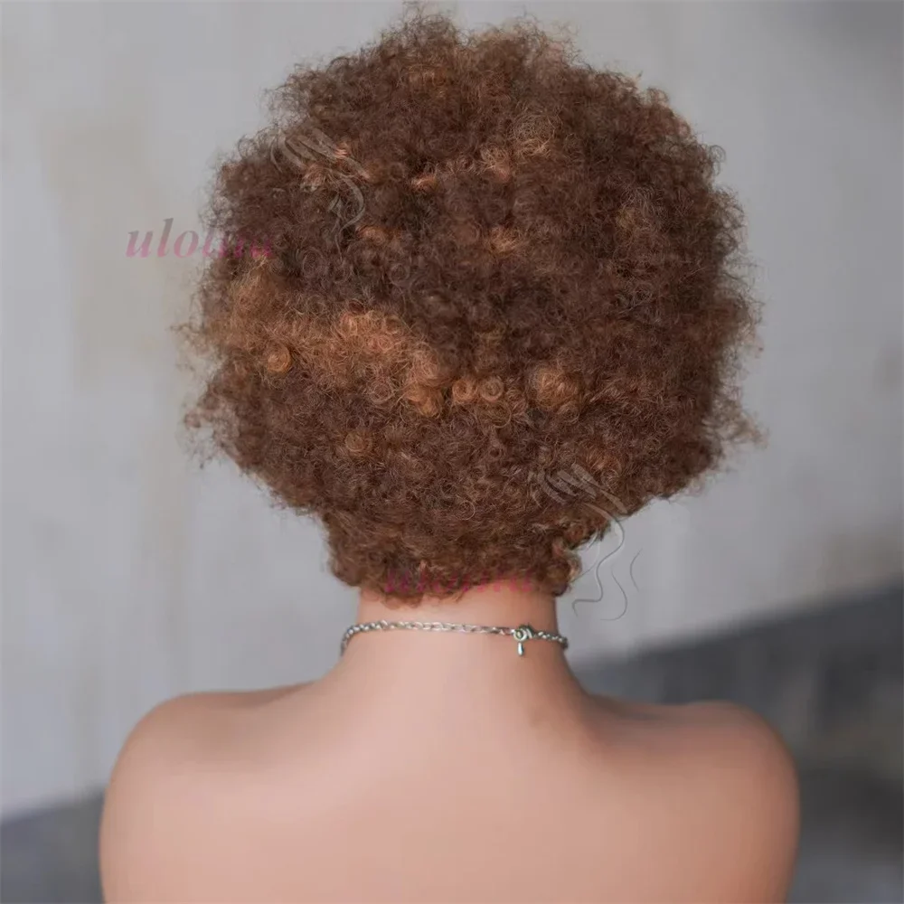 13x4 Lace Frontal Afro Krøllet Paryk 100% Brasiliansk Remy Hår 6 Ombre Highlights Bouncy Krøllet Paryk Ægte Hår Parykker med Fletninger_voghion.com