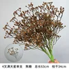 4 brins de gypsophile - tige unique