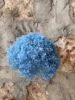 Azzurro di cielo
