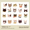 A Kitten One-white