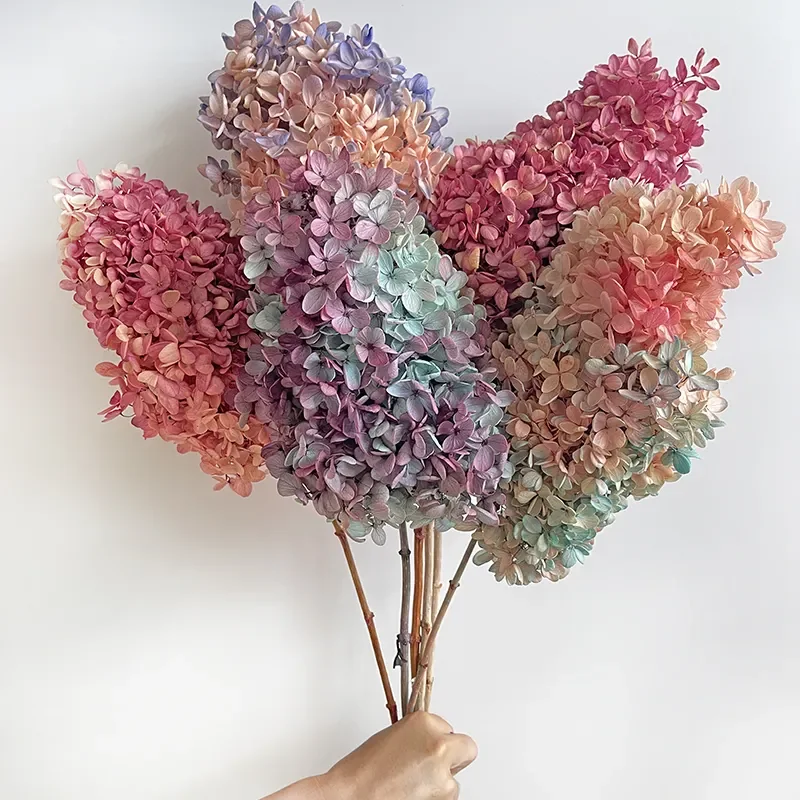 Wholesale Dry Hydrangea Dried Flowers Plants Preserved Pagoda Wood Hydrangea Flowers Buy Dried