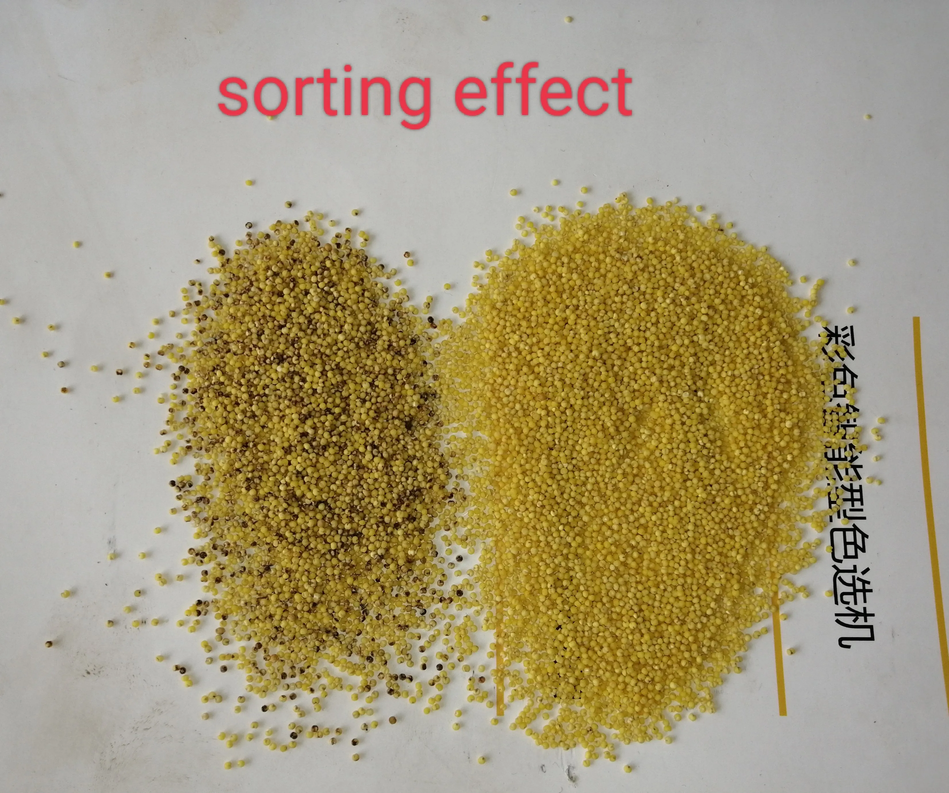Intelligent Mini Green Mung Optical Sorter Coffee Bean Color Sorting Machine with Shape Sorting Function