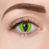 Cat eye grass green