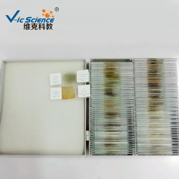 Microscope Prepared Slides Professional Thin Section of Rocks 24pcs Set Microscope Prepared Slide
