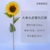 Large single-head tube sunflower, shipped separately