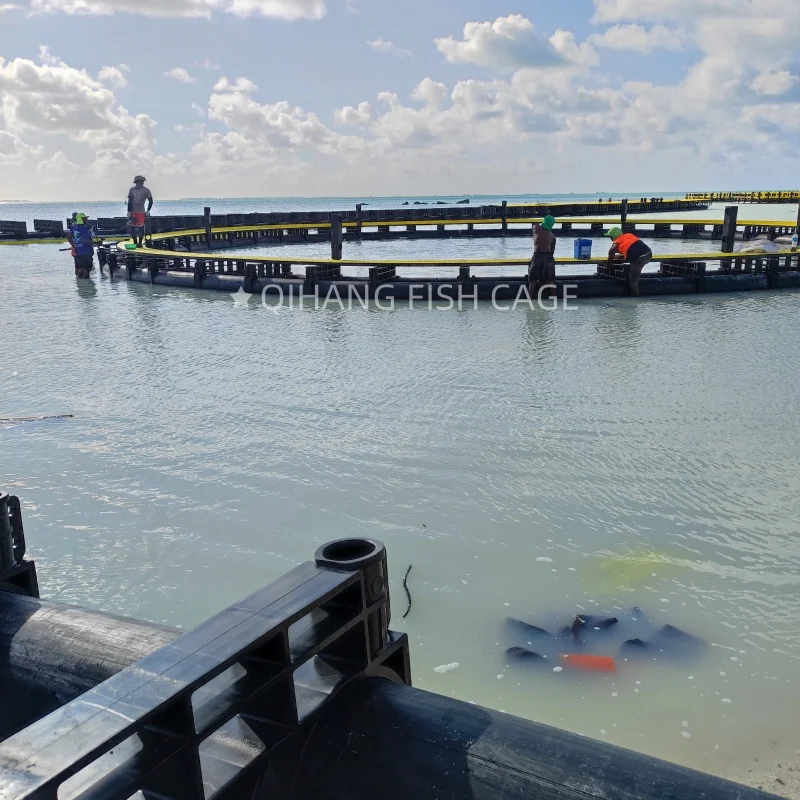 HDPE Floating Tilapia Fish Cages for Lake River Fish Farming Cage in Africa