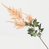 Astilbe chinensis Champagne