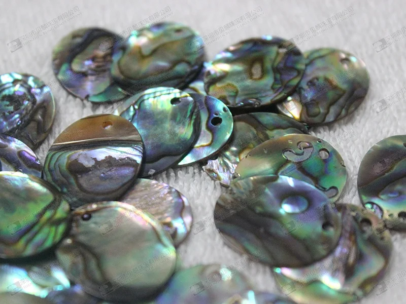 Natural Abalone Shell Discs Wholesale