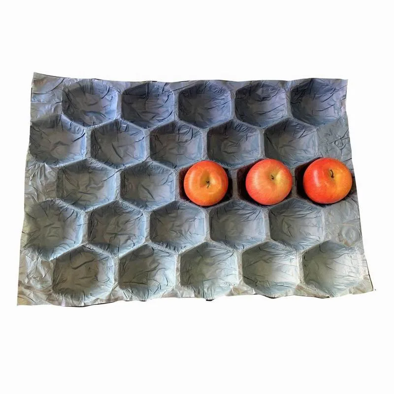 Disposable 100% Biodegradable Fresh Fruit and Vegetables Packing Insert 2 Layers Plum Alveoli Paper Tray Liner