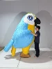 Blue parrot