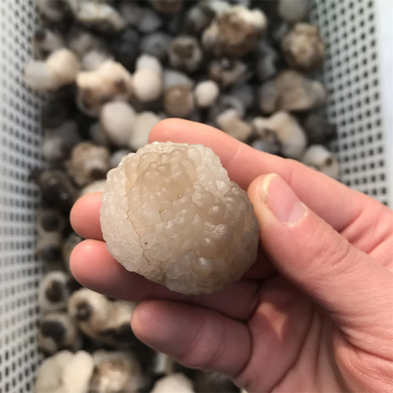 mi瑪瑙 天然パンダ彫りパーツ 10-222 Colorful Rough Panda Agate