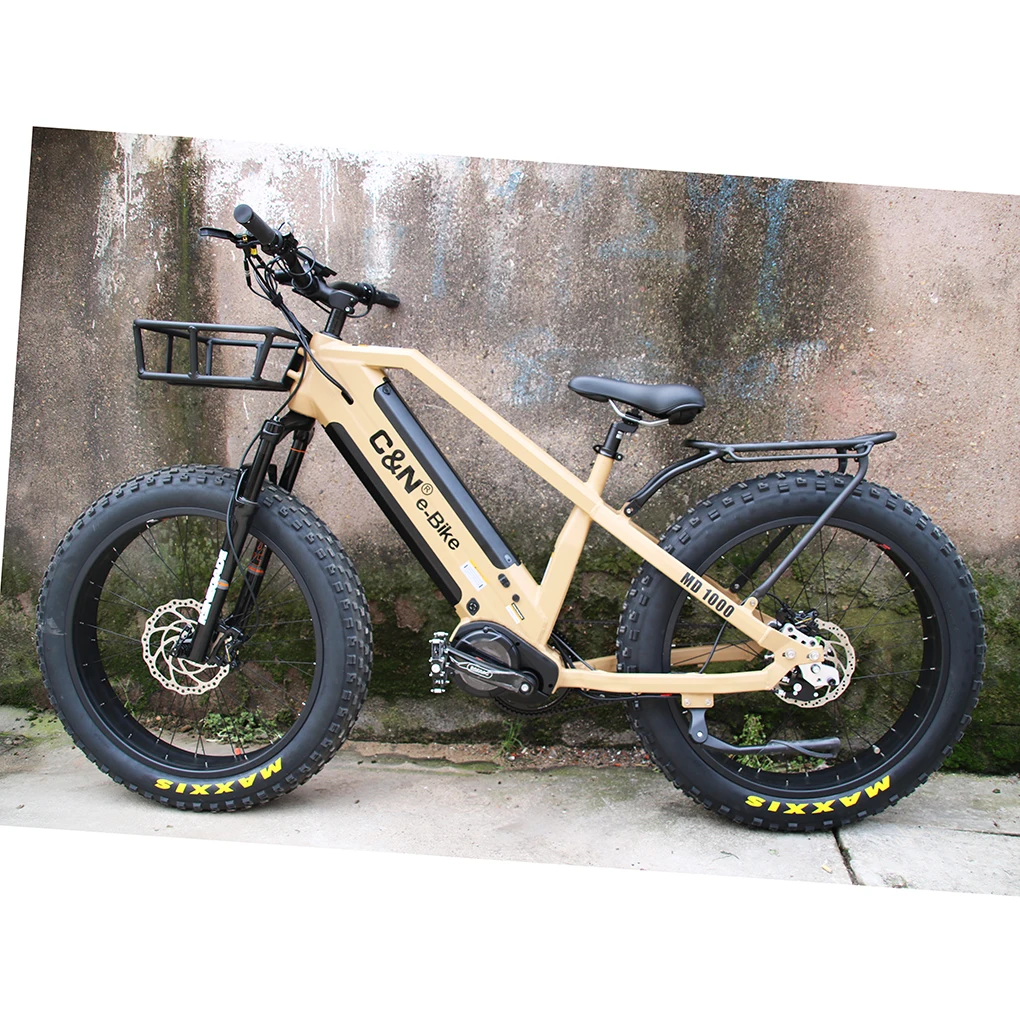Rohloff 14 Speed Internal Gear Hub Belt Drive Dual Batteries 1000w Bafang Ebike 48v Electric Bicycle Electric Bike Made in China