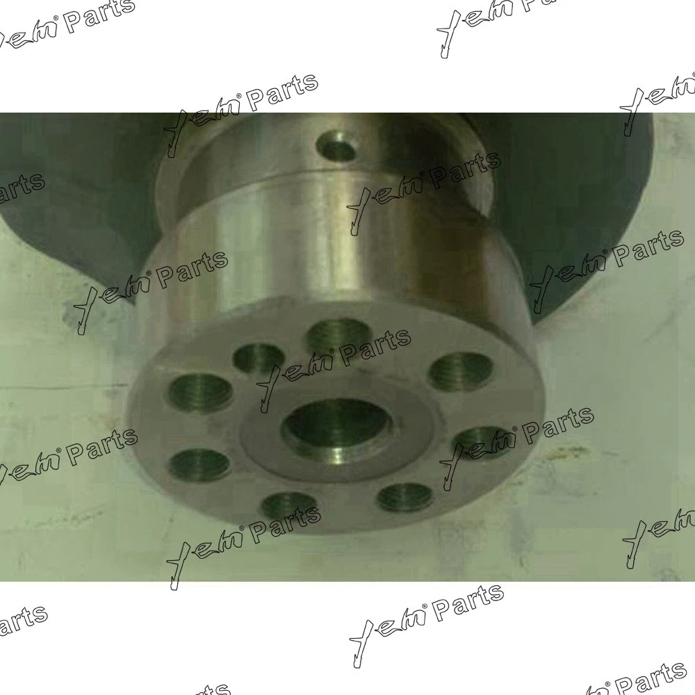 BD30 Crankshaft for Nissan Spare Part 2