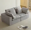 Light Gray + Fabric + 2 Seat + Foam