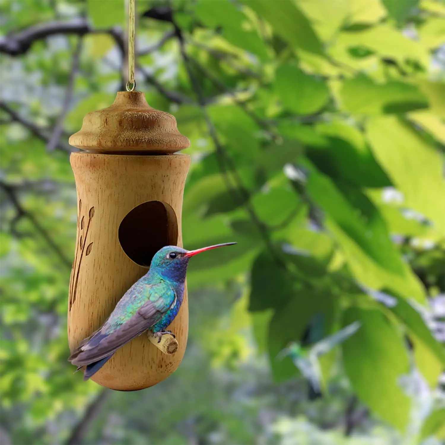 Hummingbird House 2022 New For Outside Wooden Hanging Hummingbird ...