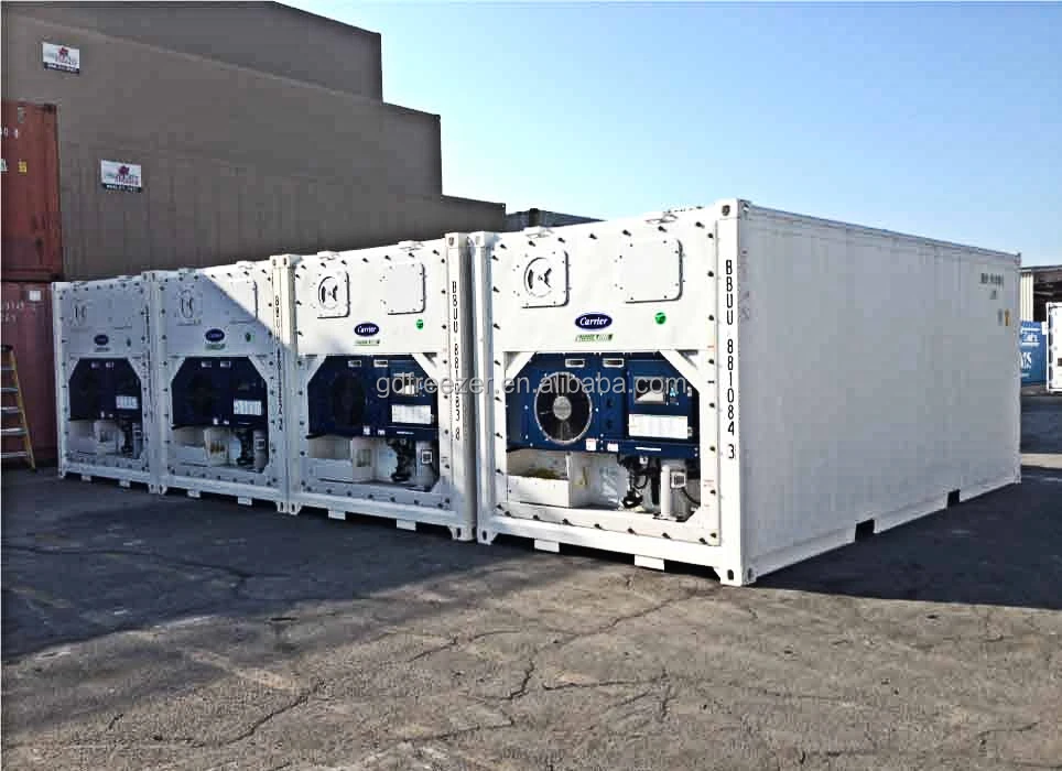 Carrier Shipping Refrigerator Container 40ft 20ft / Reefer 40 Foot