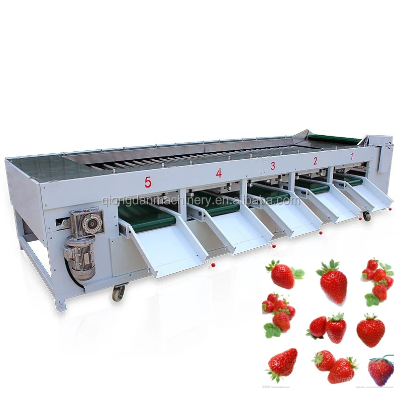 Automatic Potato Size Grading Sorting Machine Sweet Potatoes Radial Sorter and Grader Line Machines Equipment Price for Sale