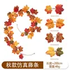 HY-F251-3