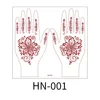HN-001