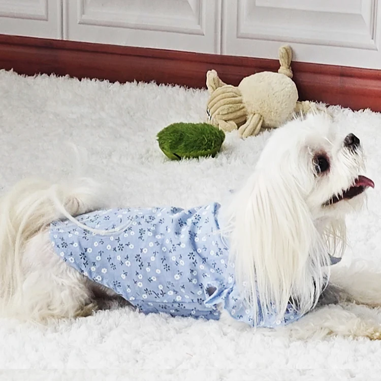 Wholesale Pet Puppy Dog Princess Dress Pet Accessories Designer Luxury