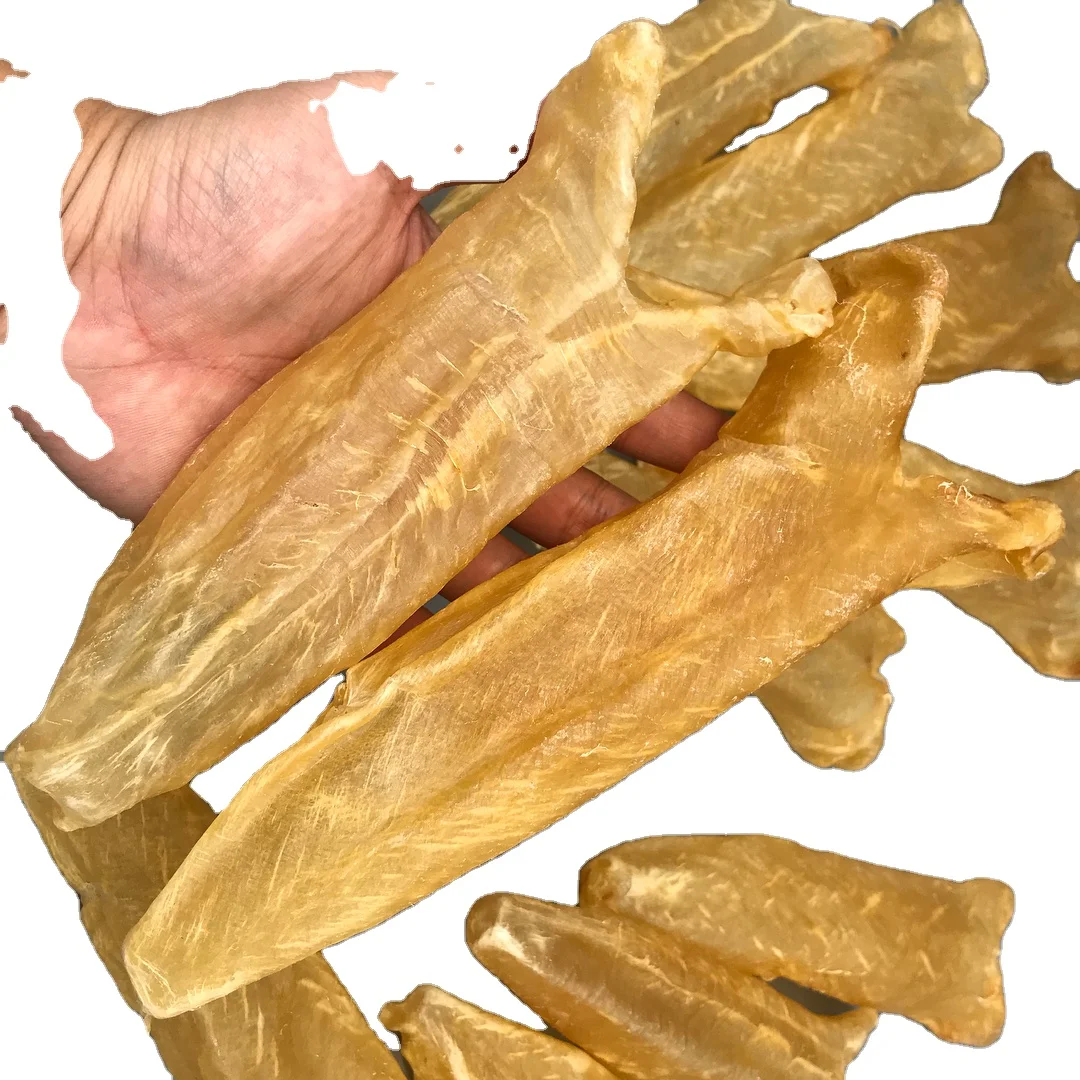 Dried Yellow Croaker Fish Maws Buy Nile Perch Fish Maw Ling Dried Fish Maw Datina Fish Maw Product On Alibaba Com