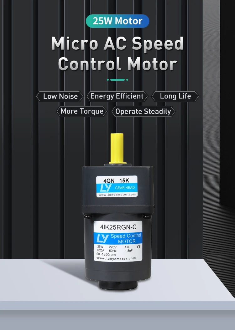 110v 220v Ac Gear Motor with Speed Control Speed Regulating Motor 6W 10W 15W 25W 40W 60W 90W 120W