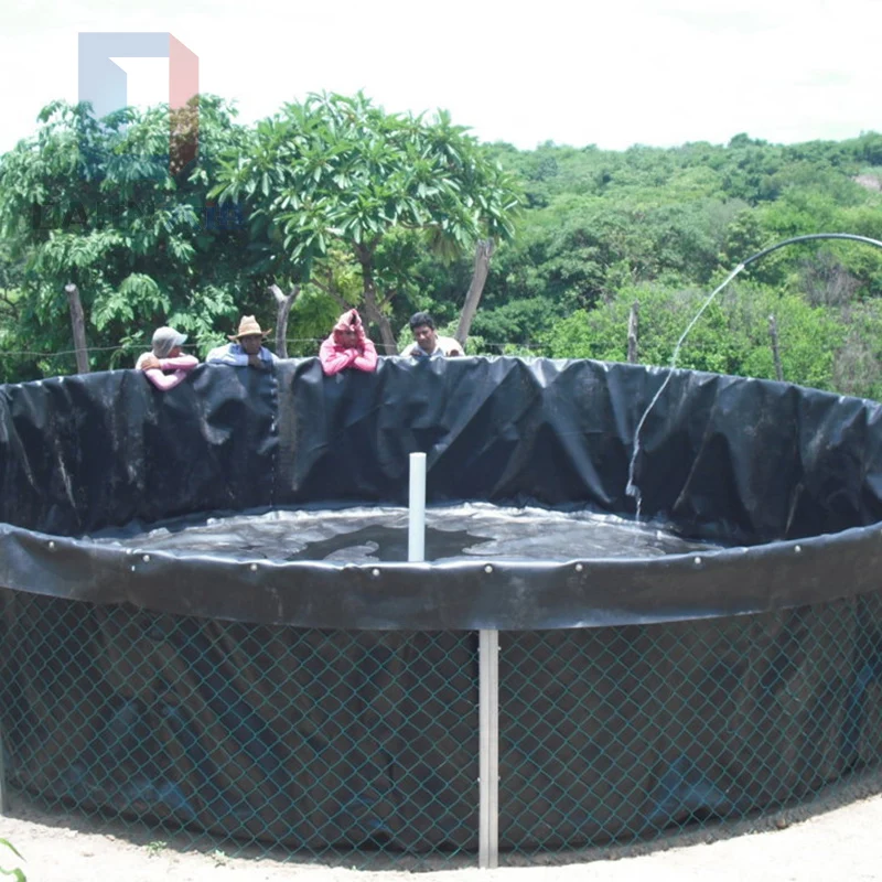 Standard GM13 HDPE GM 17 LLDPE Geomembrane Environmental Project China Manufacturer