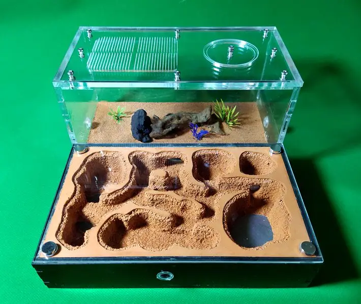 Sand Ant Farm T (Anthill, Formicarium, Educational, Ants) UK Sand Ant Farm T (Anthill, Formicarium, Educational, Ants) UK