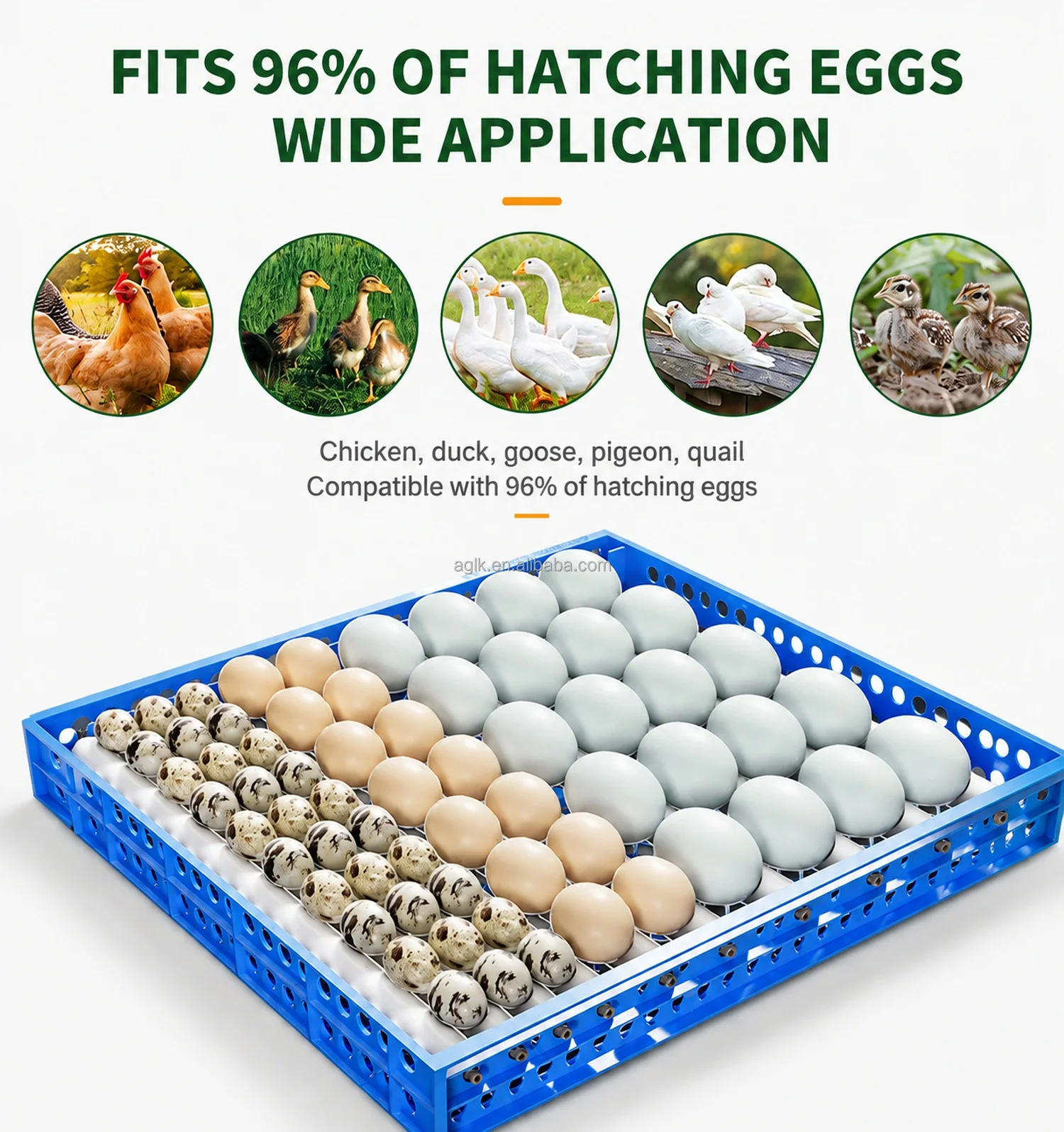 Goose & Ostrich Egg Incubator 70–420