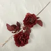 2 Eri Peony