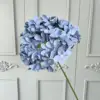 Bleu brumeux