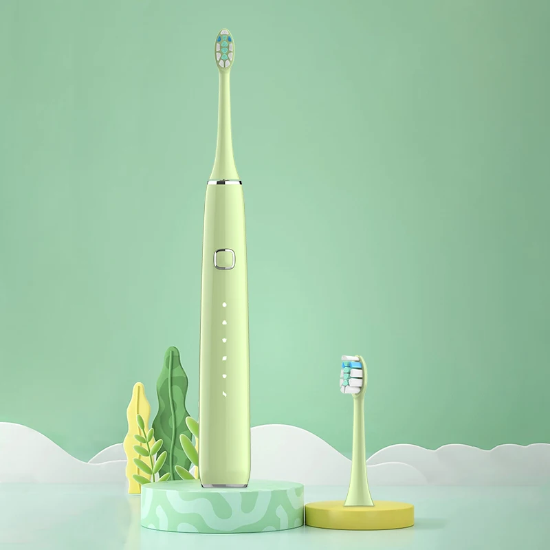 Baolijie BS61Ipx7 Waterproof  Adult Toothbrush Electric USB Rechargeable Smart Whitening Sonic Electric Toothbrush