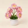 Lys rose (5 têtes) petite plante en pot