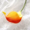 Red yellow