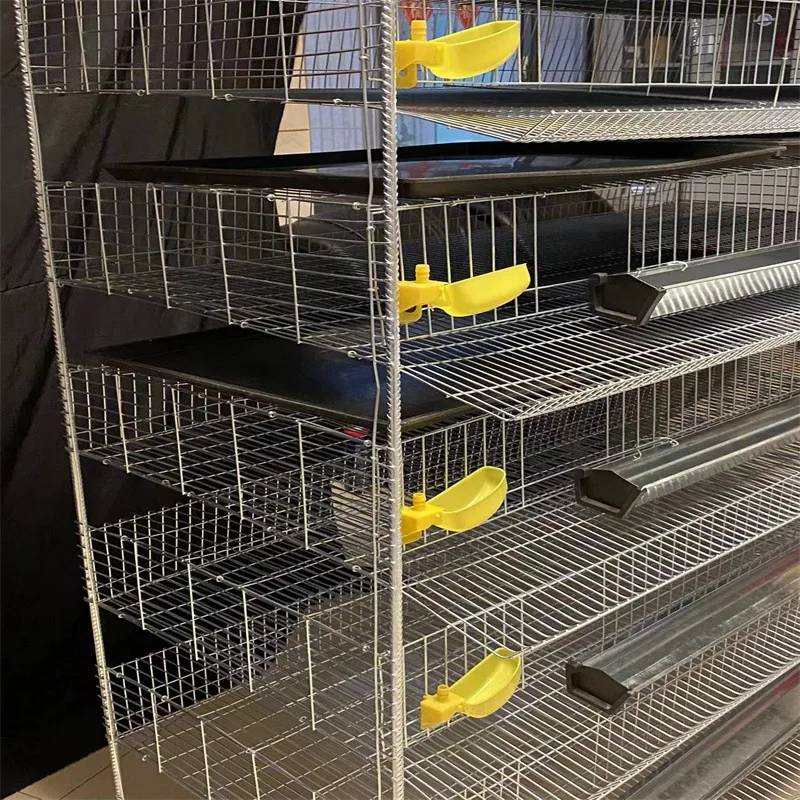 Poultry Quail Layer Cages for Quail Birds Farming Cage for Quail Hens for Egg Production