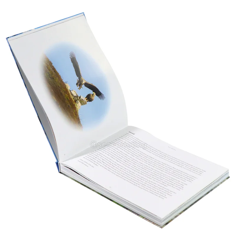 Недорогие услуги по печати книг полноцветный высококачественный журнальный столик книги Фотокнига печать в твердом переплете