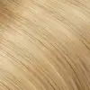#18-Rubia champán